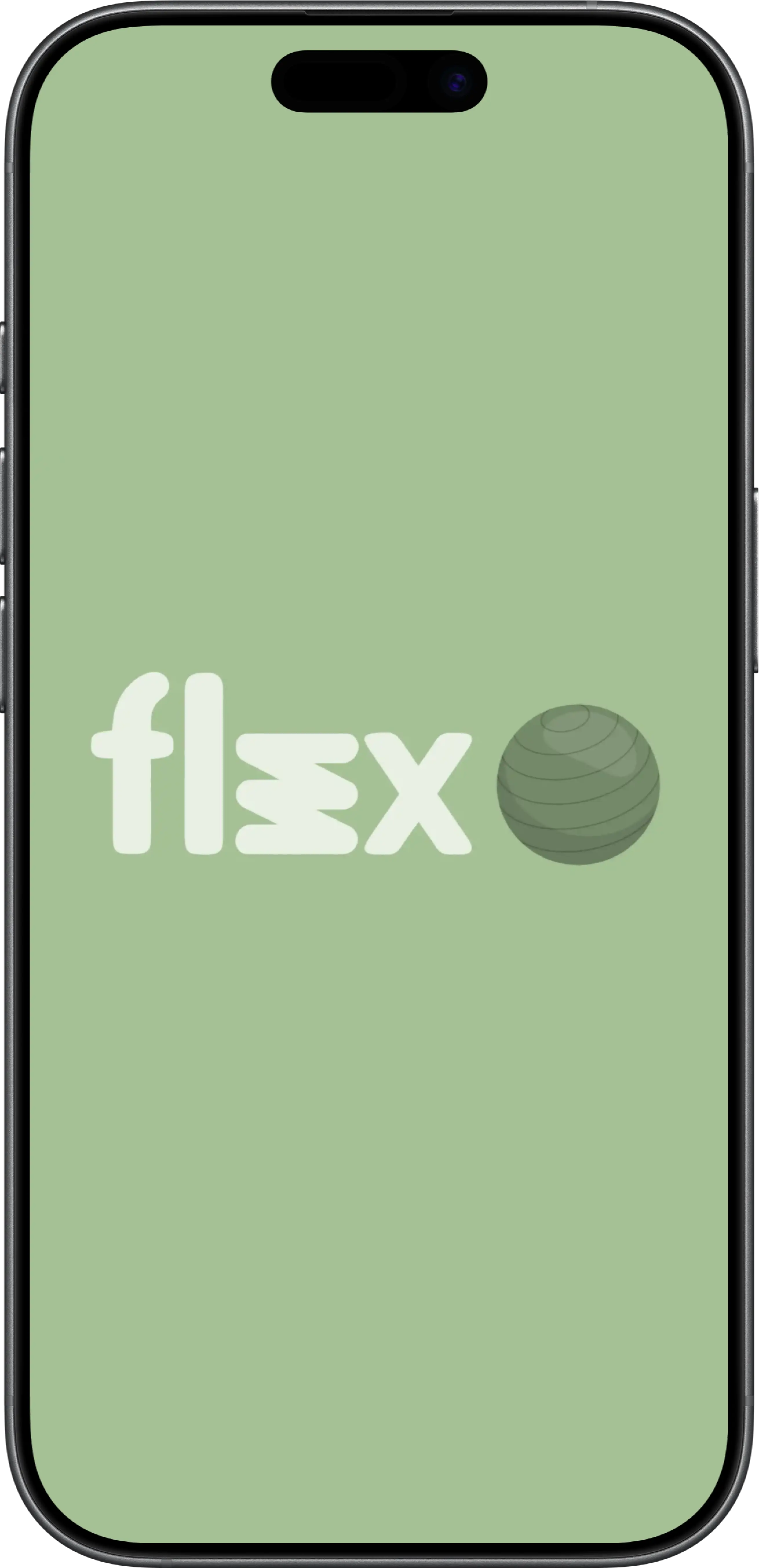 Captura de pantalla movil del proyecto Flex Pilates