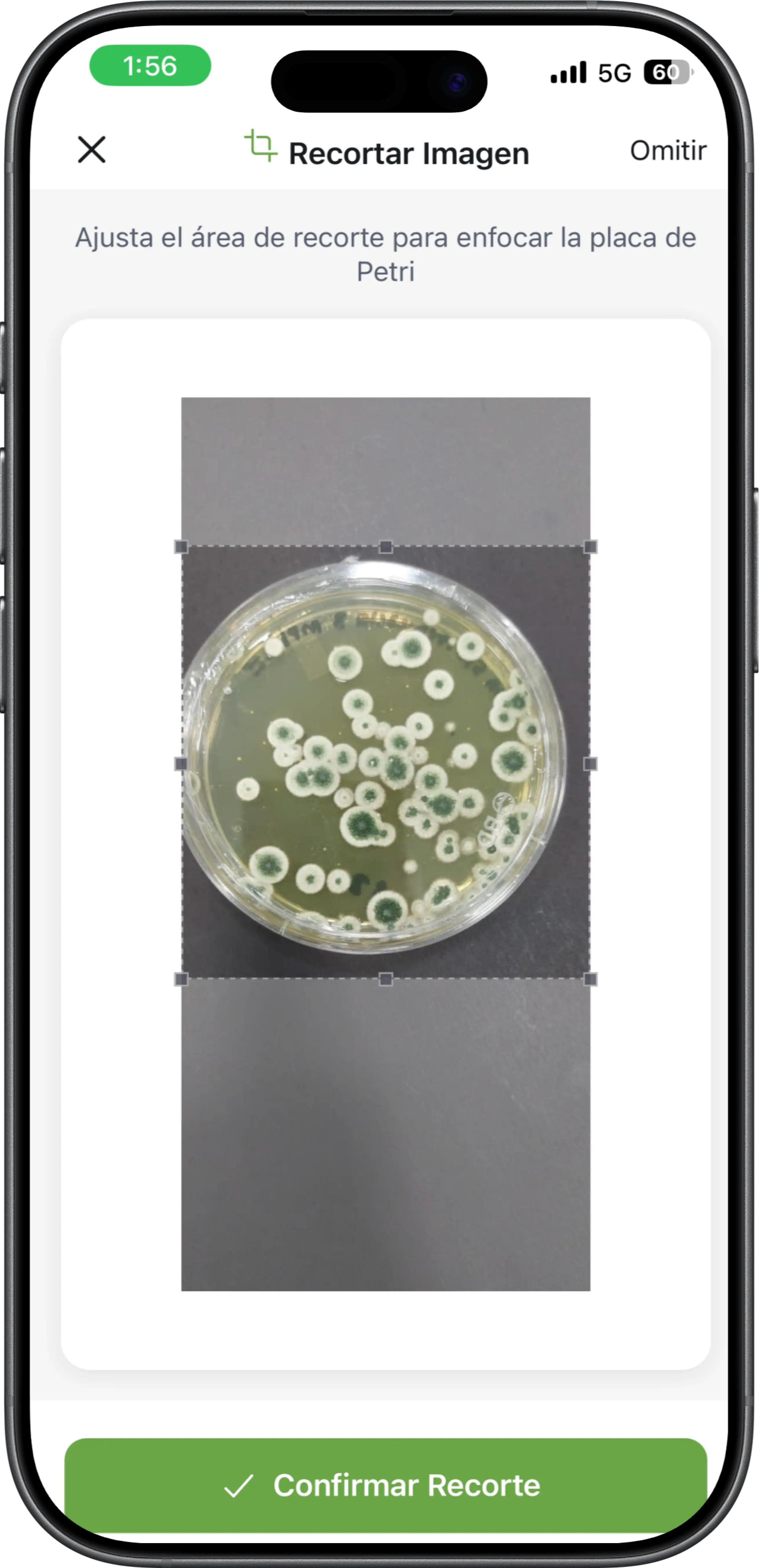 Captura de pantalla movil del proyecto BioGuard